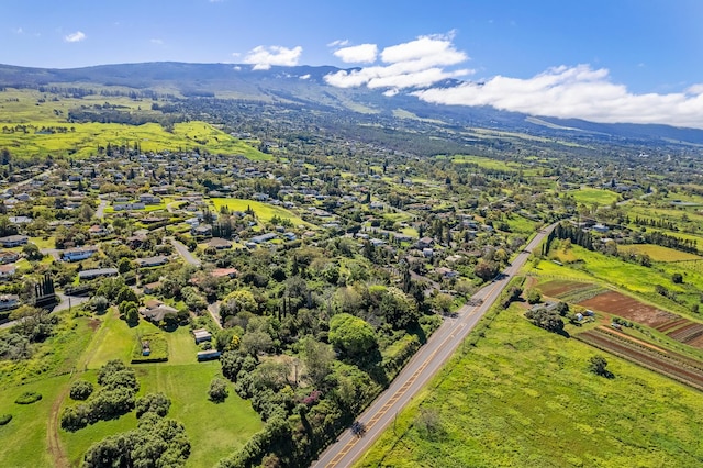 birds eye view of property featuring a mountain view