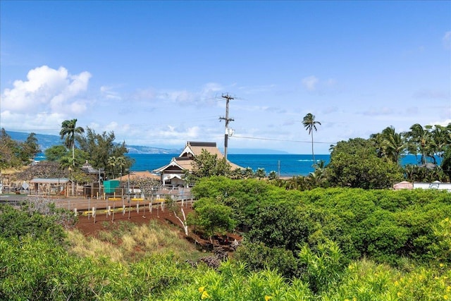 property view of water