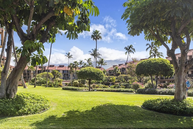 surrounding community featuring a lawn and a residential view