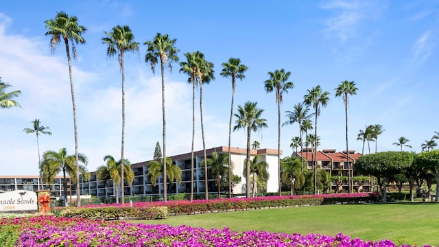 view of property's community featuring a lawn