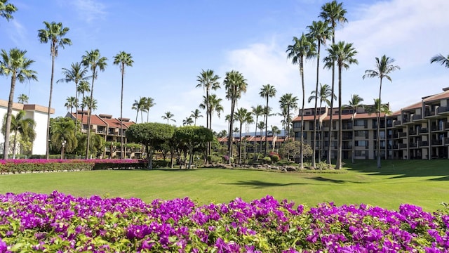 surrounding community with a lawn