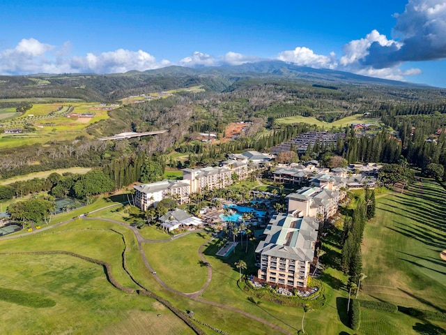 bird's eye view featuring a mountain view