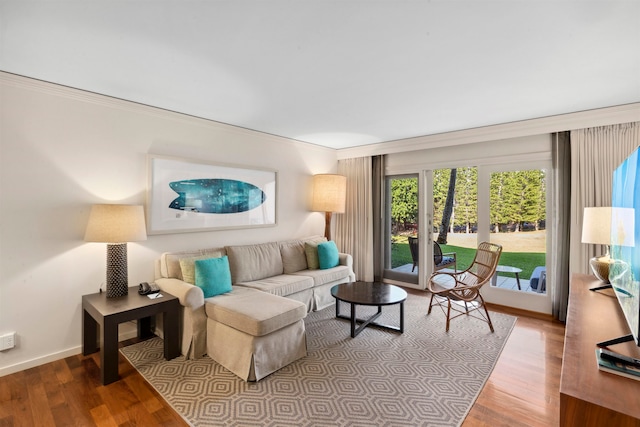 living room featuring hardwood / wood-style floors