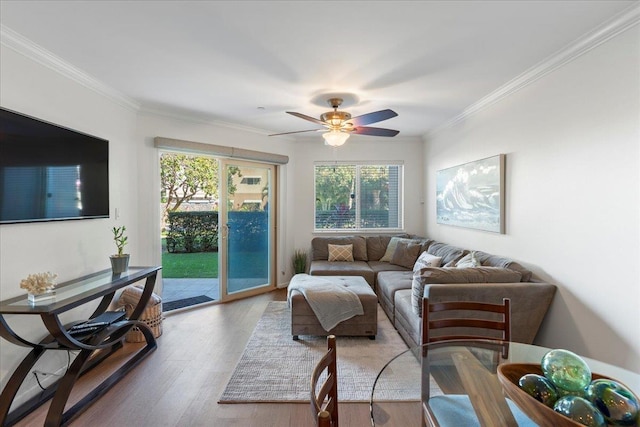 living room with crown molding, wood-type flooring, and ceiling fan