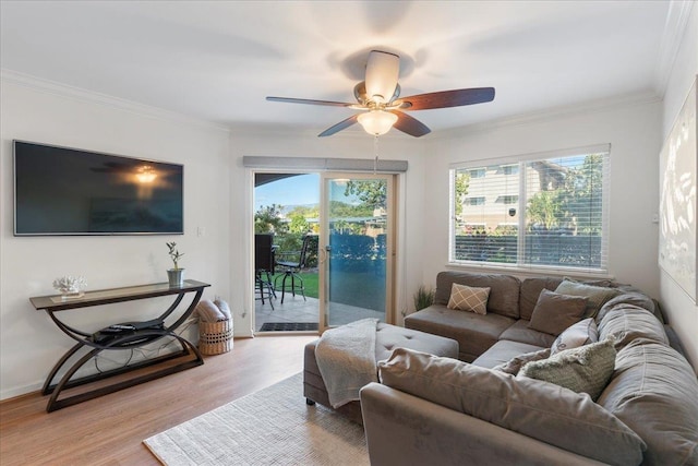 living room featuring crown molding, ceiling fan, light hardwood / wood-style flooring, and a wealth of natural light