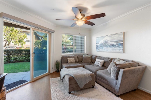 living room featuring crown molding, ceiling fan, and light wood-type flooring