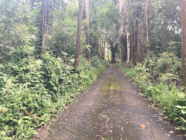 Listing photo 3 for 772 Nahiku Rd, Hana HI 96713