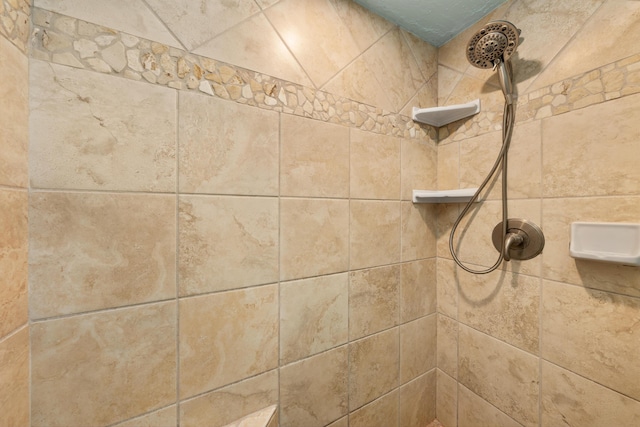 room details featuring tiled shower