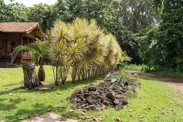 view of yard