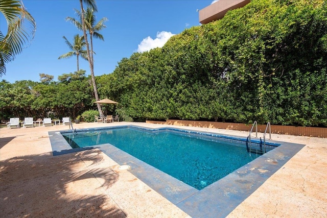 view of swimming pool with a patio