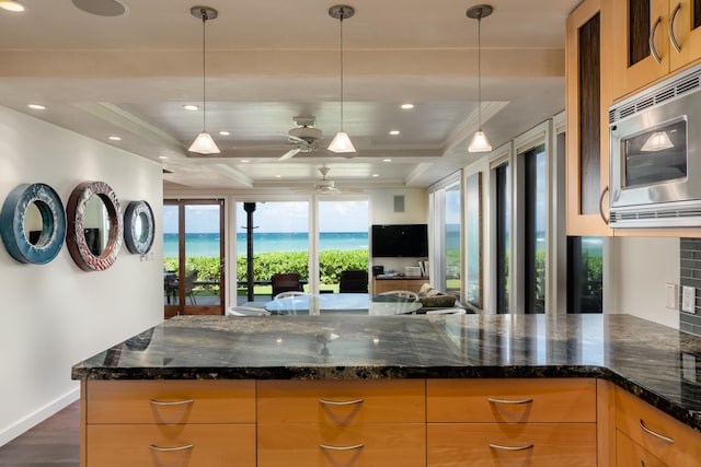 kitchen featuring dark stone counters, stainless steel microwave, dark wood-type flooring, and ceiling fan