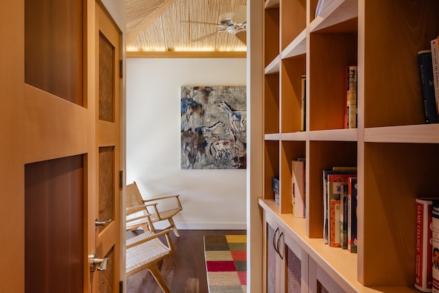 hallway featuring dark hardwood / wood-style flooring