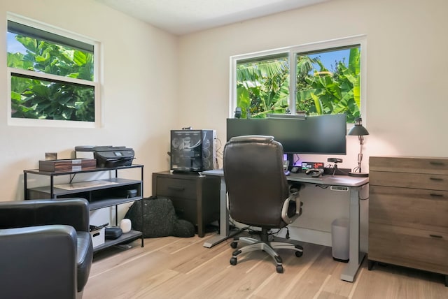home office featuring a wealth of natural light and wood finished floors