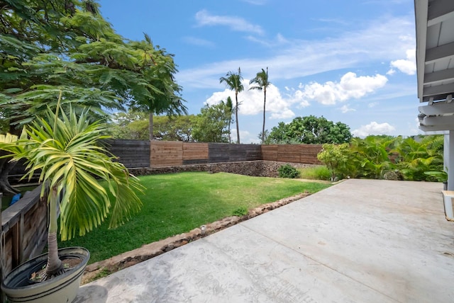 view of yard featuring a fenced backyard and a patio area