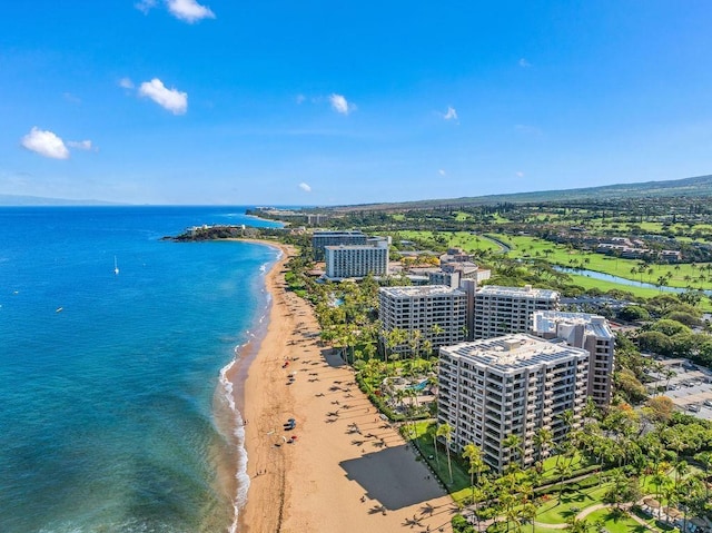 aerial view with a water view and a view of the beach