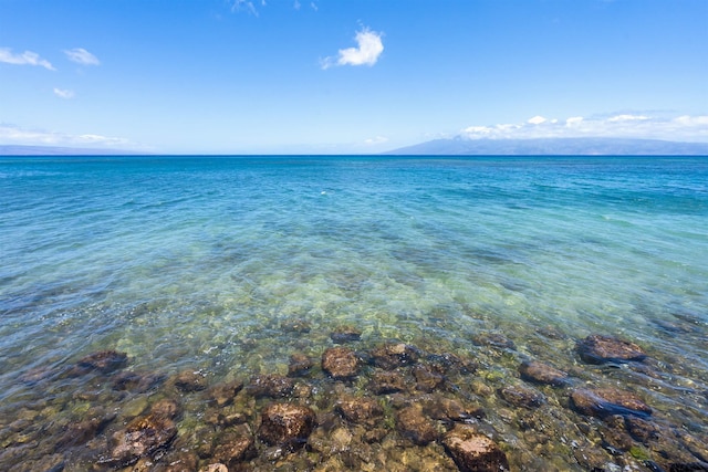 4435 Lower Honoapiilani Rd Unit 152, Lahaina, HI 96761 - water view