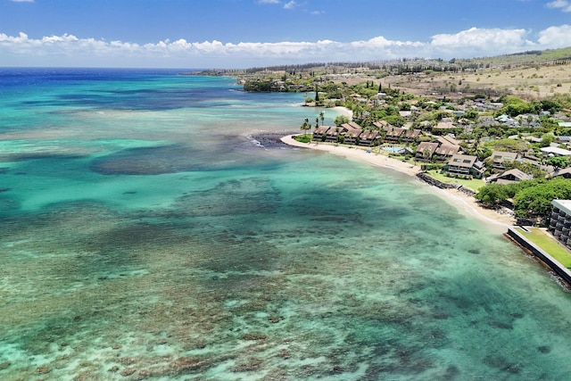 4435 Lower Honoapiilani Rd Unit 152, Lahaina, HI 96761 - drone / aerial view of unending shoreline