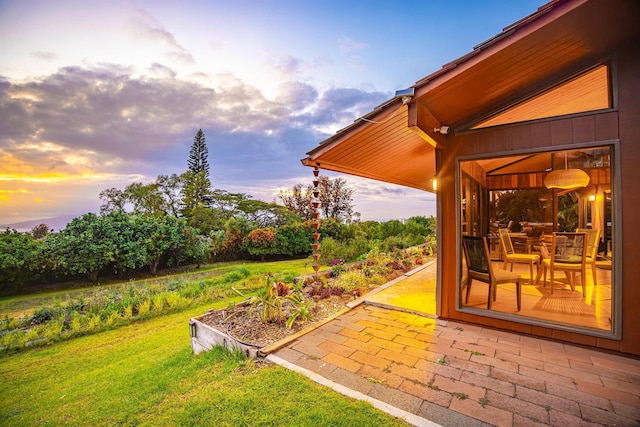 view of yard with a patio
