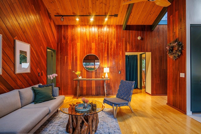 living area featuring wooden ceiling, wooden walls, and rail lighting