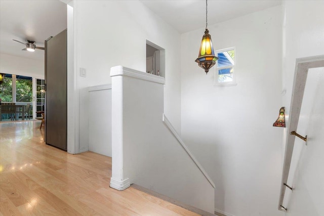 hallway with a wealth of natural light and light hardwood / wood-style flooring