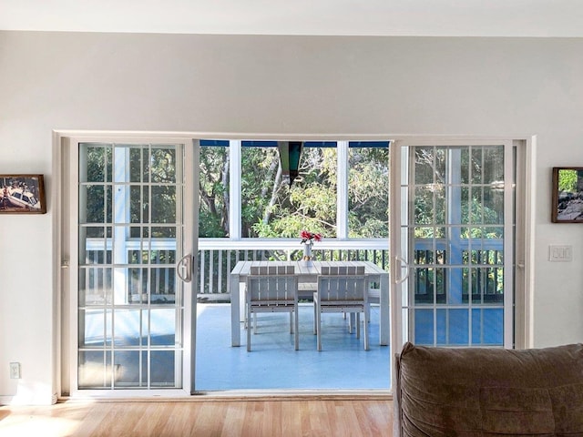 entryway featuring hardwood / wood-style floors and a healthy amount of sunlight