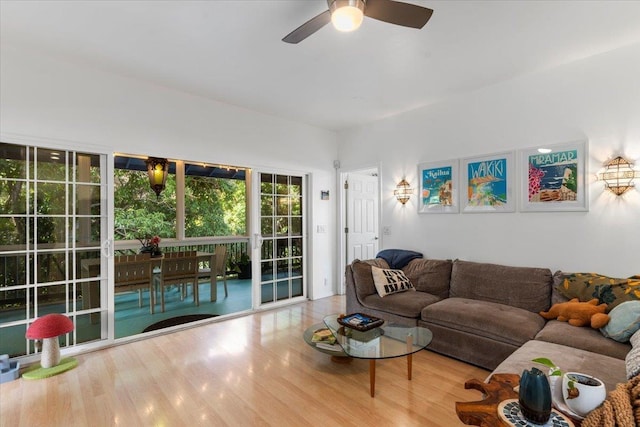 living room with ceiling fan and hardwood / wood-style flooring