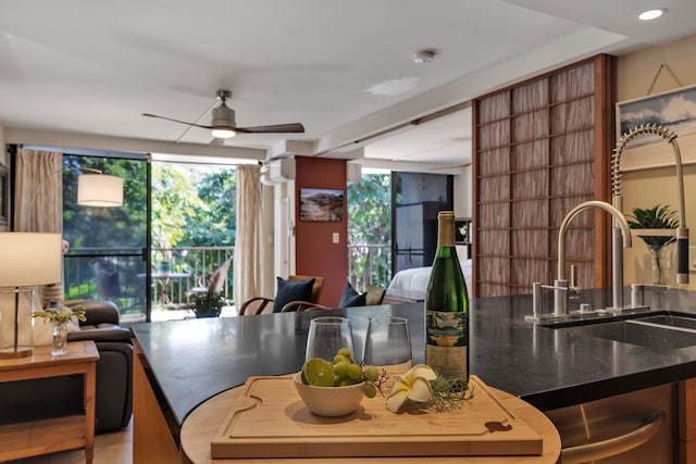 kitchen featuring sink and ceiling fan