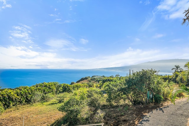 425 Kaukini Loop, Wailuku, HI 96793 - water view