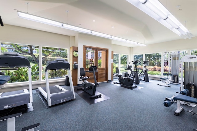 exercise room with plenty of natural light