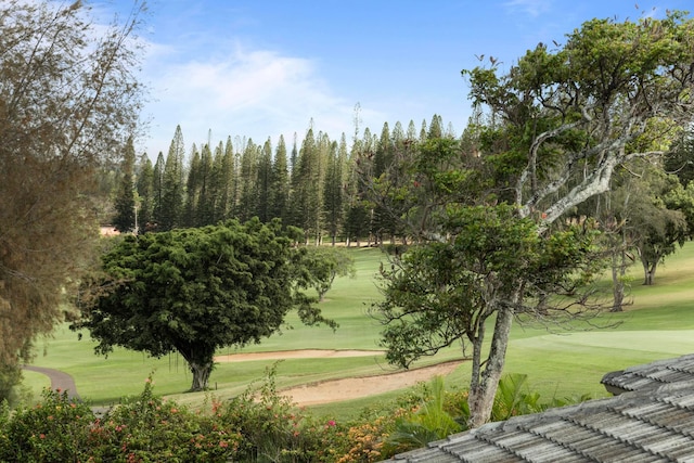 view of home's community with a yard