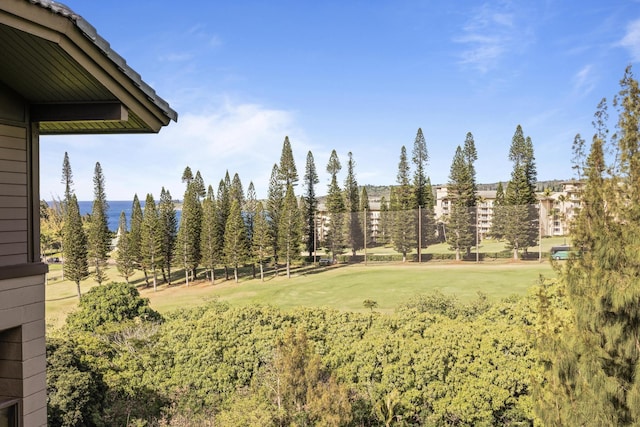 100 Ridge Rd Unit 723, Lahaina, HI 96761 - view of yard