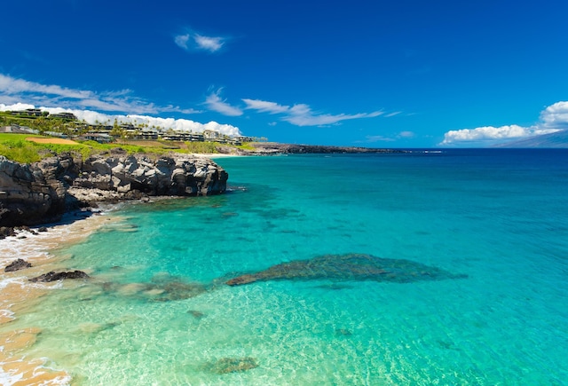 water view with a beach view