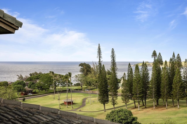 100 Ridge Rd Unit 723, Lahaina, HI 96761 - water view