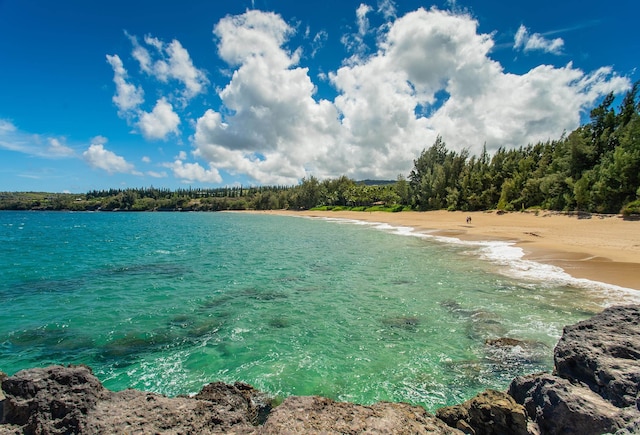 100 Ridge Rd Unit 723, Lahaina, HI 96761 - water view featuring local beach