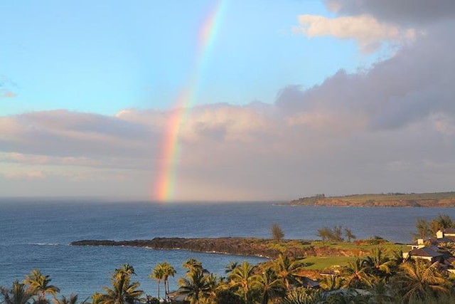 100 Ridge Rd Unit 723, Lahaina, HI 96761 - water view