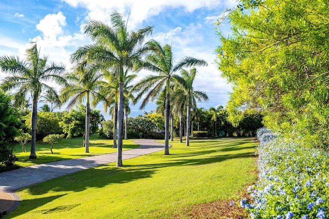 view of community with a lawn