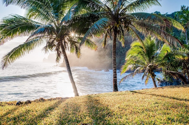 property view of water