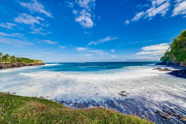 property view of water with a beach view