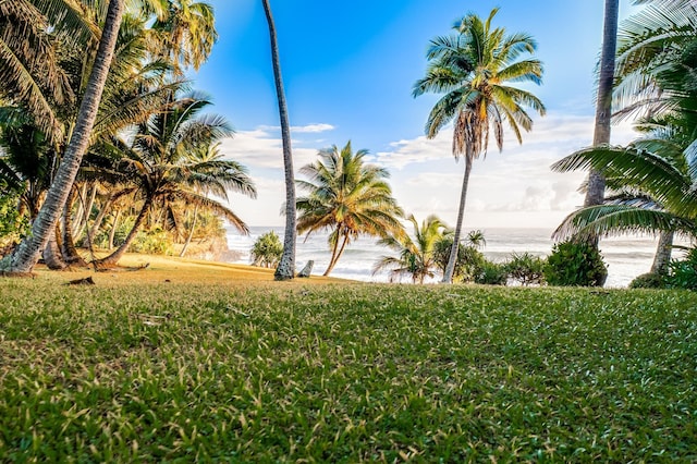 view of yard with a water view