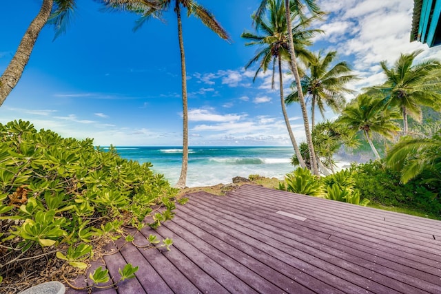 property view of water with a beach view