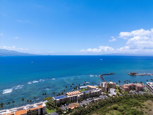 70 Hauoli St Unit 217, Wailuku, HI 96793 - water view