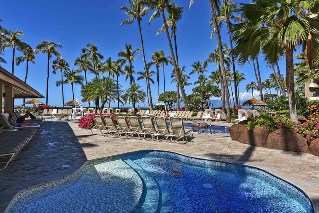 view of pool with a patio