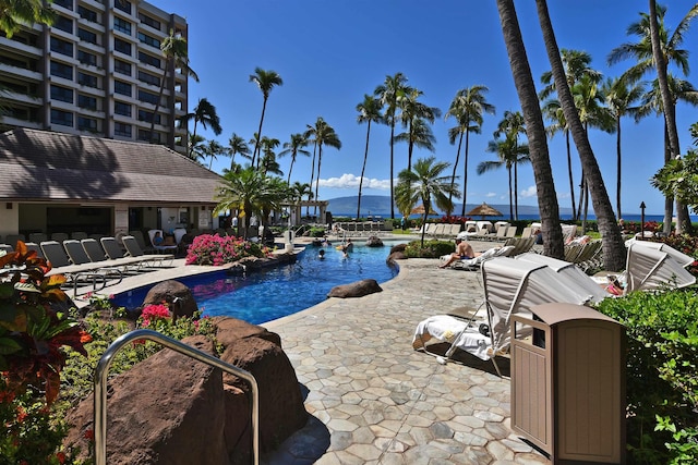 view of pool with a patio area