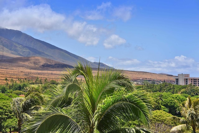 view of mountain feature