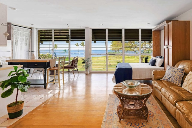 living room featuring a wall of windows and light wood-style floors