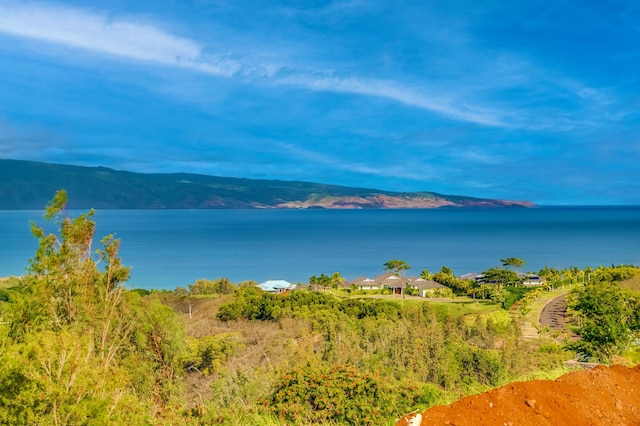 view of water feature with a mountain view