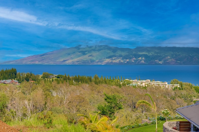 property view of water featuring a mountain view