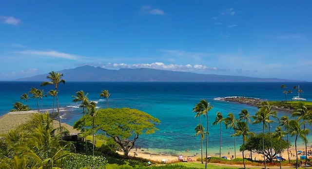 water view featuring a view of the beach and a mountain view