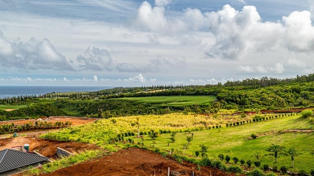 birds eye view of property with a rural view