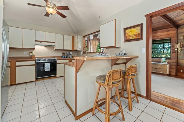 kitchen featuring a healthy amount of sunlight, kitchen peninsula, a kitchen bar, and range